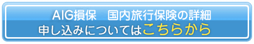 AIＧ損保の国内旅行保険詳細、申し込みについてはこちらから