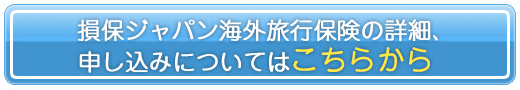 損保ジャパン海外旅行保険の詳細、申し込みについてはこちらから